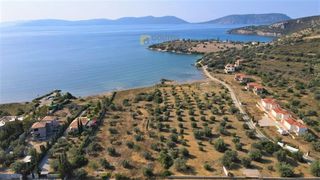 Οικόπεδο 7.420 τ.μ. για πώληση, Αργολίδα, Ερμιόνη-thumb-4