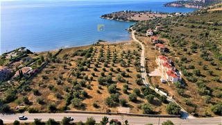 Οικόπεδο 7.420 τ.μ. για πώληση