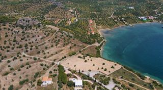 Οικόπεδο 7.420 τ.μ. για πώληση, Αργολίδα, Ερμιόνη-thumb-25