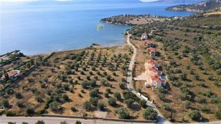 Οικόπεδο 7.420 τ.μ. για πώληση, Αργολίδα, Ερμιόνη-thumb-5