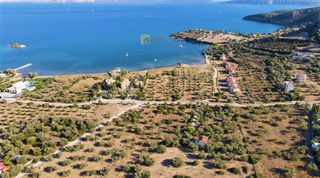 Οικόπεδο 7.420 τ.μ. για πώληση, Αργολίδα, Ερμιόνη-thumb-16