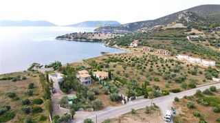 Οικόπεδο 7.420 τ.μ. για πώληση, Αργολίδα, Ερμιόνη-thumb-24