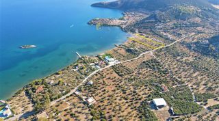 Οικόπεδο 7.420 τ.μ. για πώληση, Αργολίδα, Ερμιόνη-thumb-17