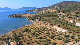 Οικόπεδο 7.420 τ.μ. για πώληση, Αργολίδα, Ερμιόνη-thumb-1