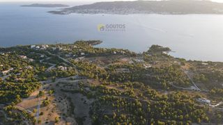 Οικόπεδο 24.000 τ.μ. για πώληση, Αργολίδα, Κρανίδι-thumb-20