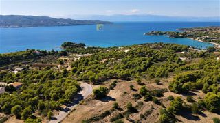 Οικόπεδο 24.000 τ.μ. για πώληση, Αργολίδα, Κρανίδι-thumb-4