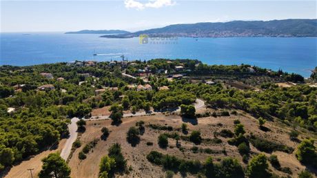 Οικόπεδο 24.000 τ.μ. για πώληση