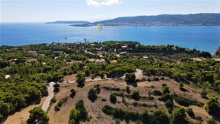 Οικόπεδο 24.000 τ.μ. για πώληση