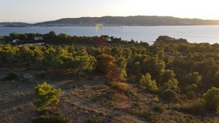 Οικόπεδο 24.000 τ.μ. για πώληση, Αργολίδα, Κρανίδι-thumb-26