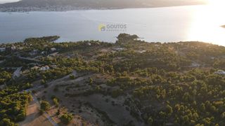 Οικόπεδο 24.000 τ.μ. για πώληση, Αργολίδα, Κρανίδι-thumb-22