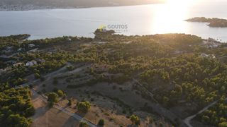 Οικόπεδο 24.000 τ.μ. για πώληση, Αργολίδα, Κρανίδι-thumb-23