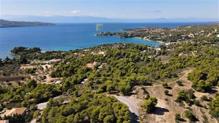 Οικόπεδο 24.000 τ.μ. για πώληση, Αργολίδα, Κρανίδι-thumb-2