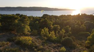 Οικόπεδο 24.000 τ.μ. για πώληση, Αργολίδα, Κρανίδι-thumb-28