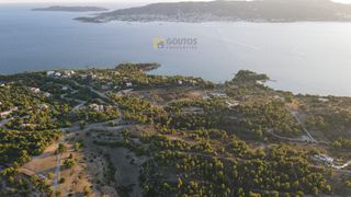 Οικόπεδο 24.000 τ.μ. για πώληση, Αργολίδα, Κρανίδι-thumb-21