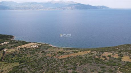 Parcel 4.465,74sqm for sale-Tolofona
