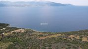 Αγροτεμάχια 4.465,74τ.μ. για πώληση-Τολοφώνα