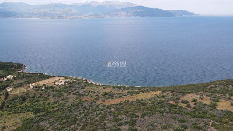 Αγροτεμάχια 4.465,74 τ.μ. για πώληση, Φωκίδα, Τολοφώνα
