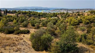 Οικόπεδο 13.000 τ.μ. για πώληση, Αργολίδα, Κρανίδι-thumb-5