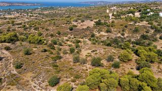 Οικόπεδο 13.000 τ.μ. για πώληση, Αργολίδα, Κρανίδι-thumb-21