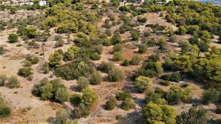 Οικόπεδο 13.000 τ.μ. για πώληση, Αργολίδα, Κρανίδι-thumb-3