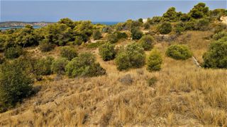 Οικόπεδο 13.000 τ.μ. για πώληση, Αργολίδα, Κρανίδι-thumb-6