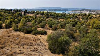 Οικόπεδο 13.000 τ.μ. για πώληση, Αργολίδα, Κρανίδι-thumb-4