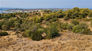 Οικόπεδο 13.000 τ.μ. για πώληση, Αργολίδα, Κρανίδι-thumb-7