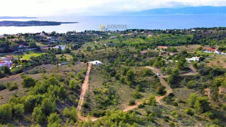 Οικόπεδο 4.600 τ.μ. για πώληση