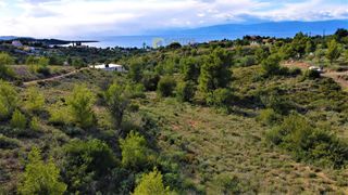 Οικόπεδο 4.600 τ.μ. για πώληση, Αργολίδα, Κρανίδι-thumb-21