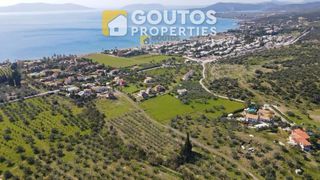 Οικόπεδο 4.035 τ.μ. για πώληση, Αργολίδα, Ερμιόνη-thumb-1