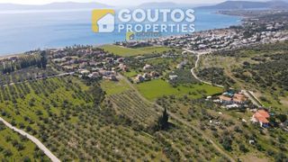 Οικόπεδο 4.035 τ.μ. για πώληση, Αργολίδα, Ερμιόνη-thumb-14