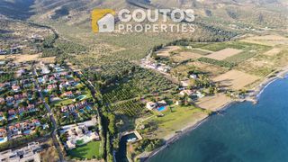 Οικόπεδο 4.035 τ.μ. για πώληση, Αργολίδα, Ερμιόνη-thumb-13