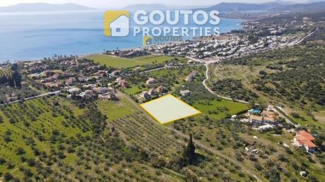 Οικόπεδο 4.035 τ.μ. για πώληση