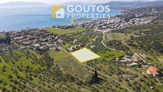 Οικόπεδο 4.035 τ.μ. για πώληση