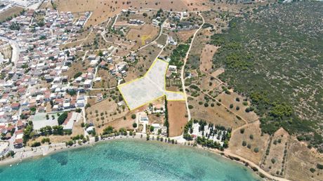 Οικόπεδο 11.300 τ.μ. για πώληση