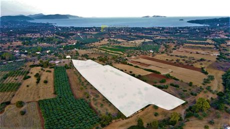 Οικόπεδο 8.500 τ.μ. για πώληση