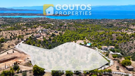 Αγροτεμάχια 18.736 τ.μ. για πώληση