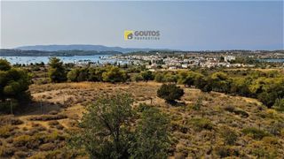 Οικόπεδο 7.000 τ.μ. για πώληση, Αργολίδα, Κρανίδι-thumb-22