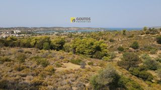 Οικόπεδο 7.000 τ.μ. για πώληση, Αργολίδα, Κρανίδι-thumb-18