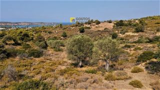Οικόπεδο 7.000 τ.μ. για πώληση, Αργολίδα, Κρανίδι-thumb-15