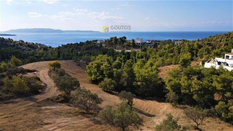 Αγροτεμάχια 15.000 τ.μ. για πώληση