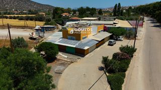 Κατάστημα 310 τ.μ. για πώληση, Αργολίδα, Ερμιόνη-thumb-2
