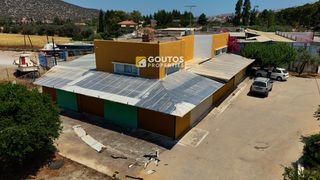 Κατάστημα 310 τ.μ. για πώληση, Αργολίδα, Ερμιόνη-thumb-1