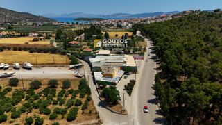 Κατάστημα 310 τ.μ. για πώληση, Αργολίδα, Ερμιόνη-thumb-29