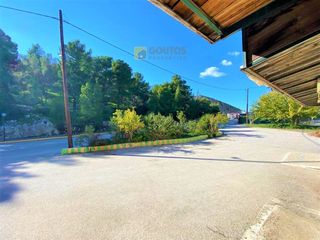 Κατάστημα 310 τ.μ. για πώληση, Αργολίδα, Ερμιόνη-thumb-6