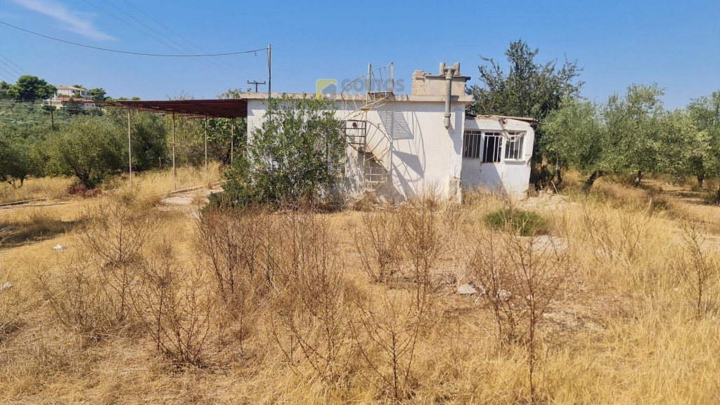 Μονοκατοικία 70 τ.μ. προς πώληση, Πορτοχέλι