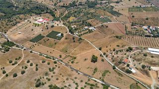 Αγροτεμάχια 21.690 τ.μ. για πώληση, Αργολίδα, Κρανίδι-thumb-6