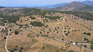 Αγροτεμάχια 21.690 τ.μ. για πώληση, Αργολίδα, Κρανίδι-thumb-10