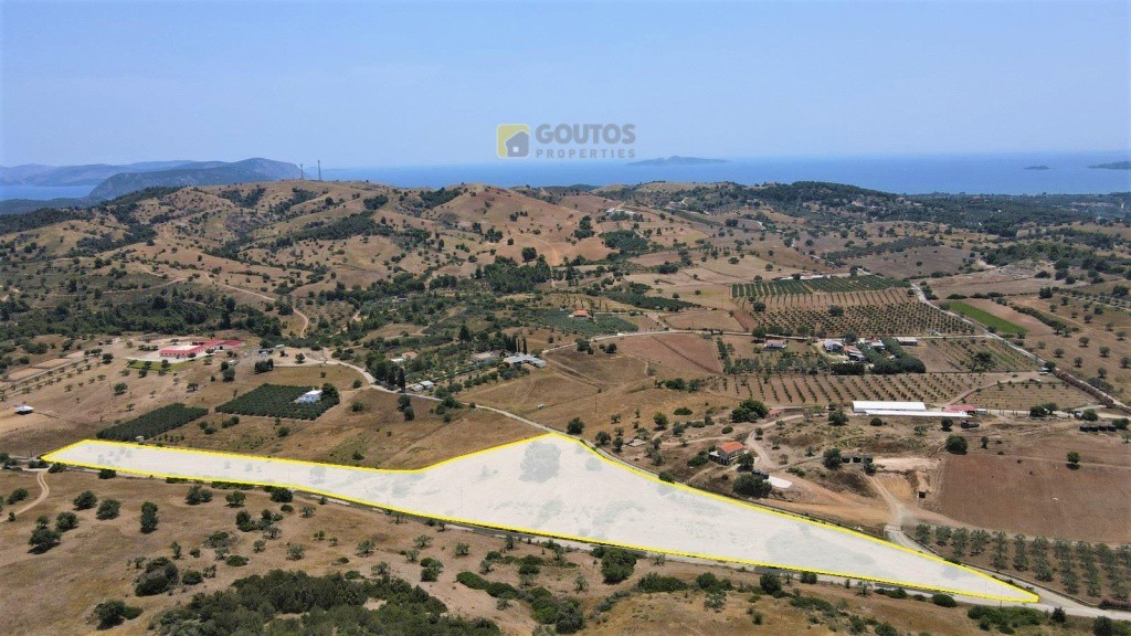 Αγροτεμάχια 21.690 τ.μ. για πώληση, Αργολίδα, Κρανίδι