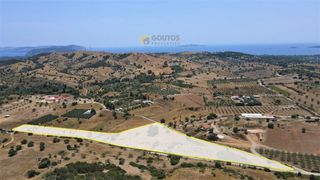 Αγροτεμάχια 21.690 τ.μ. για πώληση